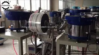 Vertical Automatic Rivet Nail Counting Packing Machine