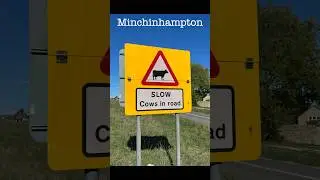 Minchinhampton Common #common land #conservation on common #countryside #golf #large blue butterfly
