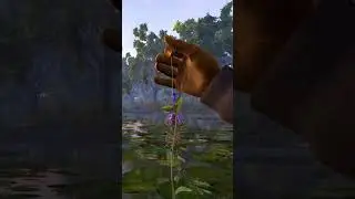 Keep Backlash with weed to get an Invisible line, Fishing planet #shortsgameplay