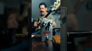 WEM on bass!