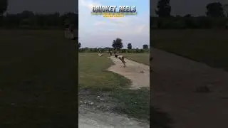Cricket Reels l Amit Ak41 🏏 #cricket #tenniscricket #reels #shorts #viralvideo #topreels #trending