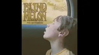 Make a Difference by Blind Melon (Album Version)