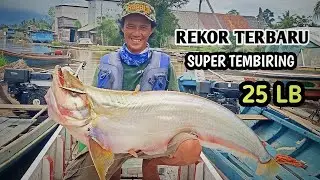 REKOR TERBARU !!! Menakutkan Strike Tembiring Super Monster 25 lb Sendirian...
