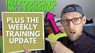 Mrs EDDBUD & Half Marathon Training | Fuelcell TC | Floatride Run Fast 2 | Hyperion Tempo | eddbud