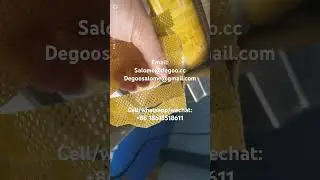 2d Ready to fry products corn snack pellets corn chips pellets machine manufacturer #pelletmachine