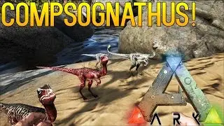 ARK: SURVIVAL EVOLVED | PATCH 224 | COMPSOGNATHUS