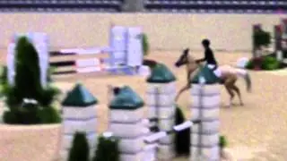 Elena Stoltzfus and Swears Like a Sailor, Pony Finals 2013: Second Night