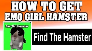 How To Get EMO GIRL HAMSTER in FIND THE HAMSTER ROBLOX [walkthrough] [UPDATE] [2026]