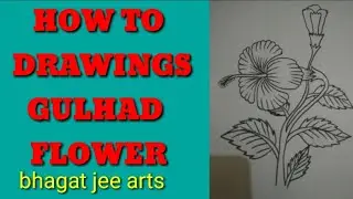 HOW TO DRAWING GULHAD FLOWER STEP BY STEP,