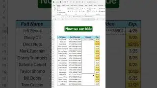 Replace & Hide Data in Excel | Quick Excel Tips & Tricks #shorts #excel #dataanalysis