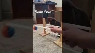 benjamin's tricks pt 2! 🏀🐰#bunny #rabbit #training #adorable #enrichment
