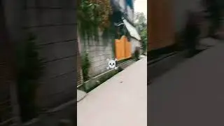 chfd #avee_player #automobile #funk #remix #funny #cat ☠️kdhqog