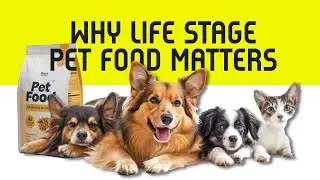 Why Life Stage Pet Foods Matter
