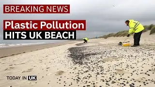 &ldquo;Plastic Disaster on UK Beach &mdash; Thousands of Pellets Wash Up in East Sussex&rdquo;.