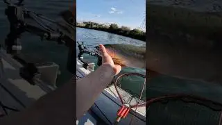 Ловля горбуши в штате Вашингтон 🎣 #pnw