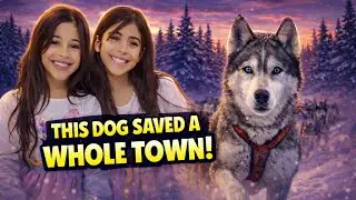 The Dog Who Saved an Entire Town 🐾 (True Story)