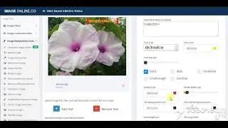 Add text to photo online - imageonline.co