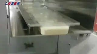 LSM 851D4 Rotary Sealing Machine   Operation Brief by our BDM, Mr  Jonathan Chia