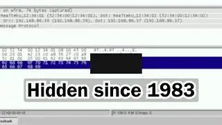 The Hidden Payload of Ping