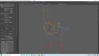 Animal advanced rig setup
