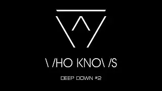 [ MIXTAPE ] DEEP DOWN #2 by WHO KNOWS - DJ MIX