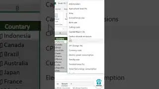Now inserting geographical data is easier in Excel 🌎🌎