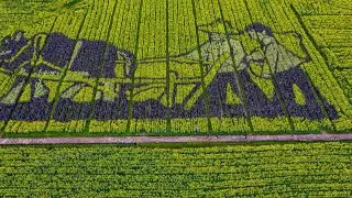 Extraordinary Navigation: Rural Revitalization