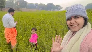 24 January 2026 papa, bua, or manvi matar todne gye hai #farmer #pea #matr #buabhatijee #papabeti