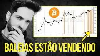 🚨 MERCADO EM ALERTA: O QUE ISSO QUER DIZER P/ O BITCOIN AGORA? VEJA A MINHA LEITURA!