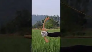 The Creation Of Arrow #diy #craft #youtubeshorts #wood #bamboo