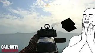 vanguard m1 garand ping