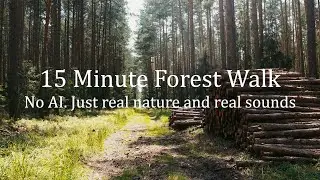 15-минутная прогулка по лесу ASMR 🍃 Реальные шаги, хруст листьев и веток. Без ии. Настоящая природа.