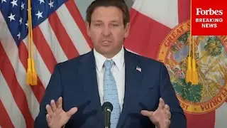 'I Cringe At Some Of These Statements...': DeSantis Discusses Past Quotes From New UF President