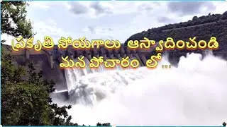 #TelanganaPocharamDam/Medak/ water falls/pocharamdam vlog withmamata nature homes/ pocharamdamtelugu
