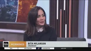 Protest organizer Bita Milanian discusses executions in Iran