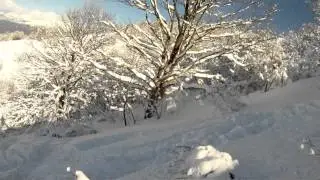 MONTE SAN PRIMO MOVEMENT RESPONSE X