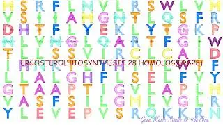 Gene Music using Protein Sequence of ERG28 