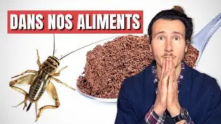 L'UE met des Insectes dans nos Aliments : DANGER ? 🦗