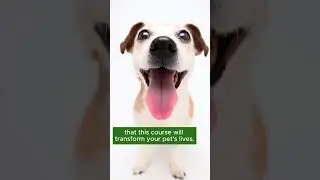 A Foundation Course in Pet Homeopathy #pethomeopathy #pethealth #doghealth #holisticdog #holistic