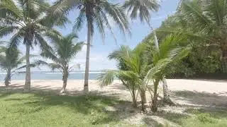 Vavau Beach Samoa