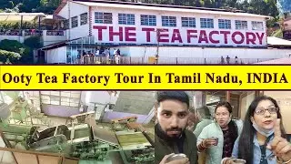 Ooty Tea Factory Tour In Tamil Nadu, INDIA 🔴  चाय-पत्ती कैसे बनती है फैक्ट्री में | Travel Life