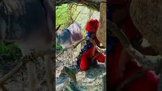 My Funny Donkey 🫏😂 | Full Funny Village Video#mariovsdonkeykong #funnydonkey #donkeylife #donkey