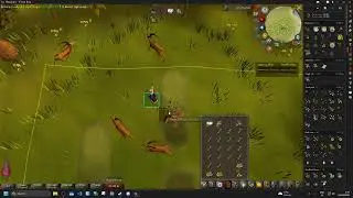Insane game breaking osrs bug WTF MUST WATCH!!! possible TENS OF THOUSANDS OF PROFIT!?!?!?! HOW?!?!?