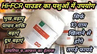 Hi-FCR पाउडर का पशुओ में उपयोग||सिर्फ 10 ग्राम से भूख/पाचन शक्ति/दूध बढ़ाएं|| डायरिया व आफरा का इलाज