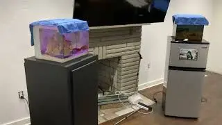 Fish Room Update!!! Tanks are moving and New Pet coming!