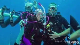 Scuba Diving Home and Overseas