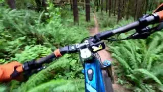 Portland&rsquo;s Best DH Trail, Phil&rsquo;s Shred Factory at Rocky Point Trails, Scappoose, Oregon