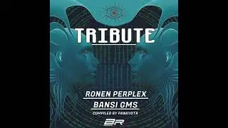 Atomic Pulse & Perplex - Stillera 2020 - A Tribute Collection to Ronen Perplex & Bansi GMS