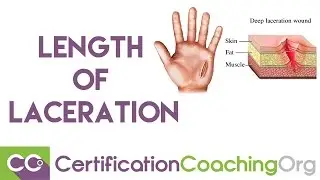 Length of Laceration in ER Medical Coding Question