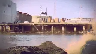 Bibio - Don't Summarize My Summer Eyes (Video)